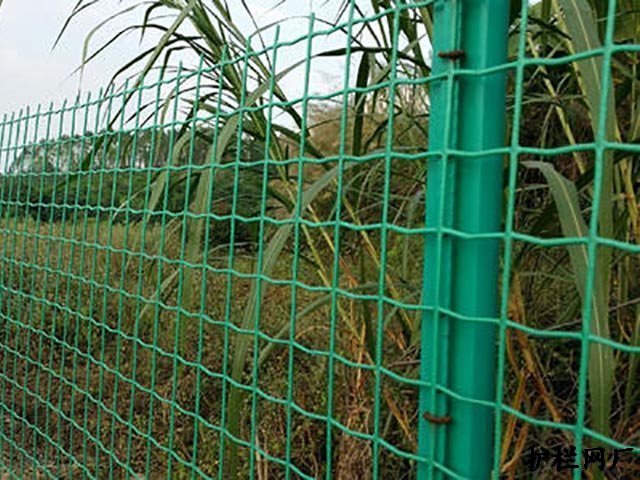 养鸡网围栏安装施工方案