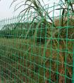 果园围栏