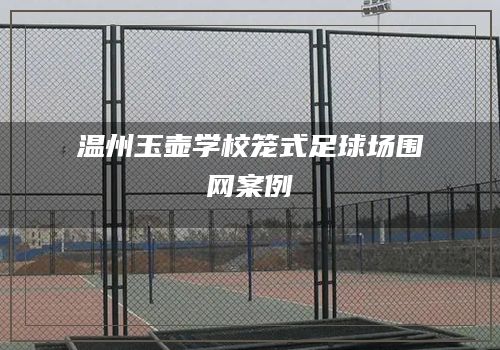 温州玉壶学校笼式足球场围网案例