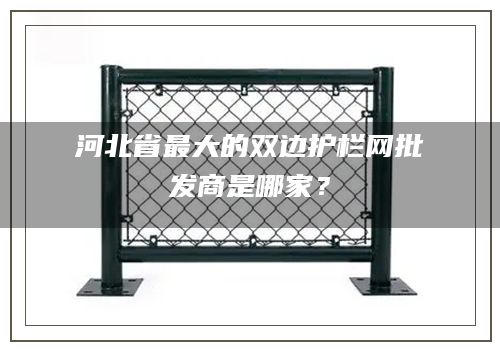 河北省最大的双边护栏网批发商是哪家？
