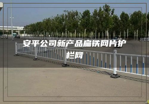 安平公司新产品扁铁网片护栏网