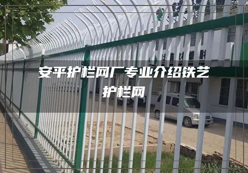 安平护栏网厂专业介绍铁艺护栏网