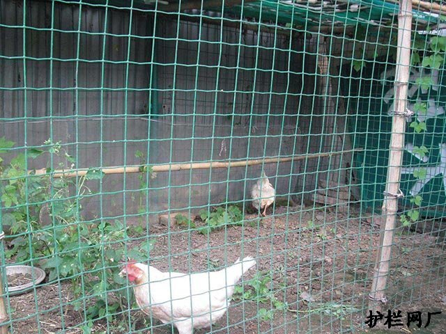 散养土鸡围栏安装施工方案