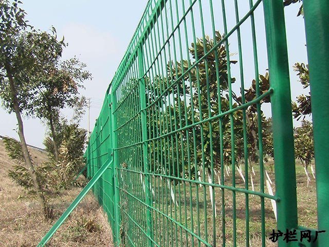 绿化带护栏网安装